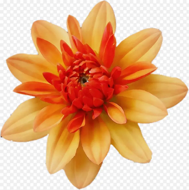 ˮ�ʻ� ���� ʪī-������