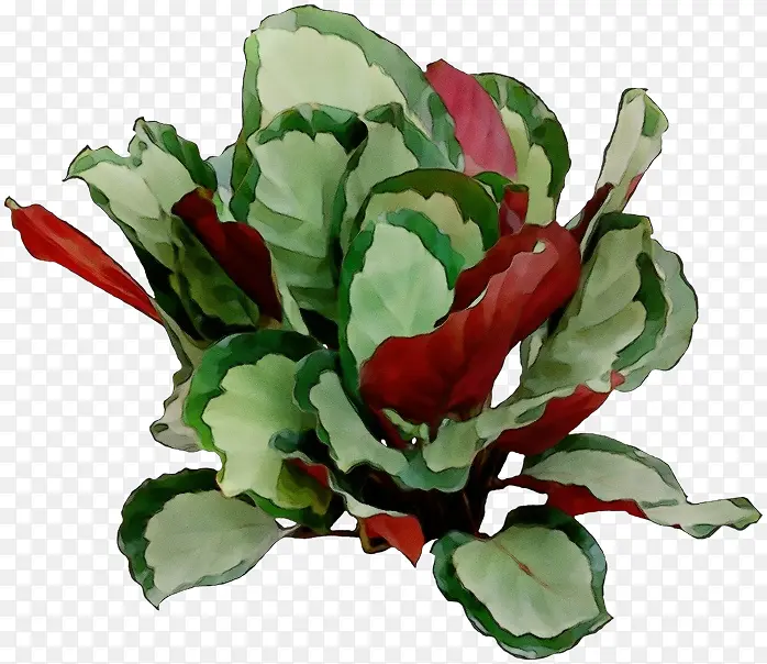 ˮ�� ���� ʪī-������