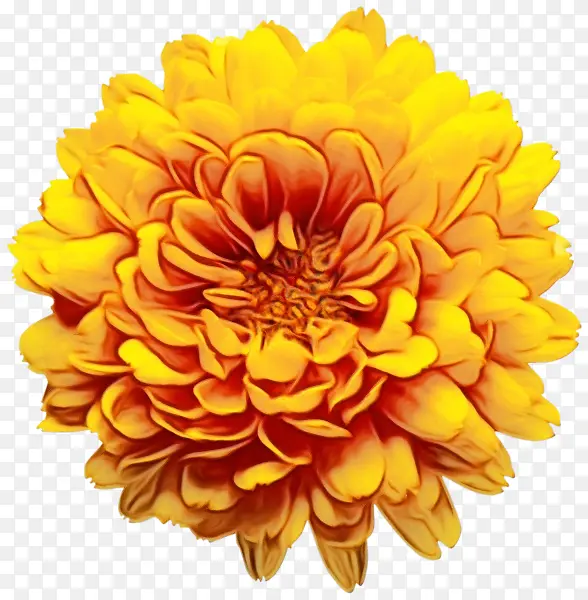 ˮ�ʻ� ���� ʪī-������