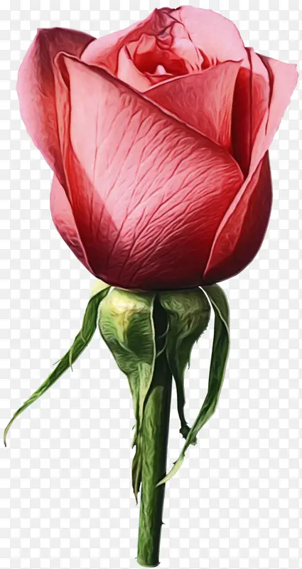 ˮ�� ���� ʪī-������