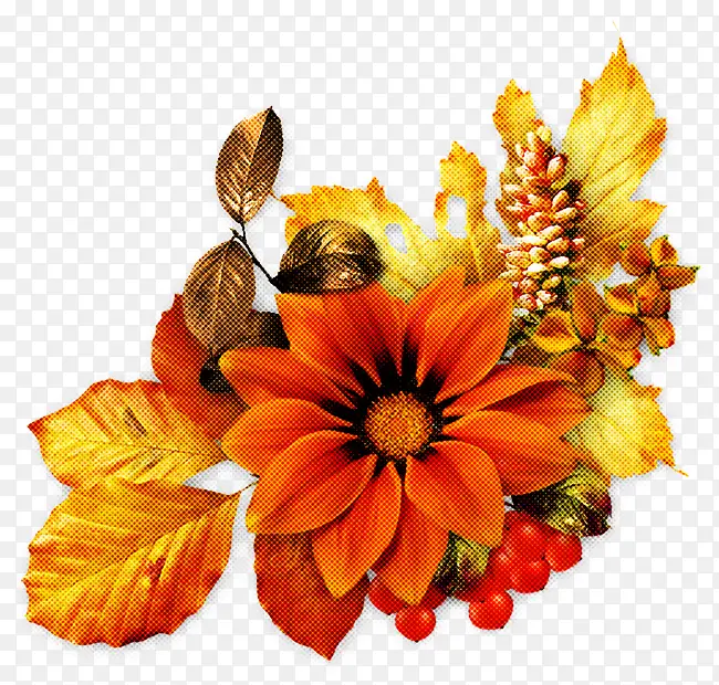 �ɹ���Ʒ��ɫ �� �л�-������