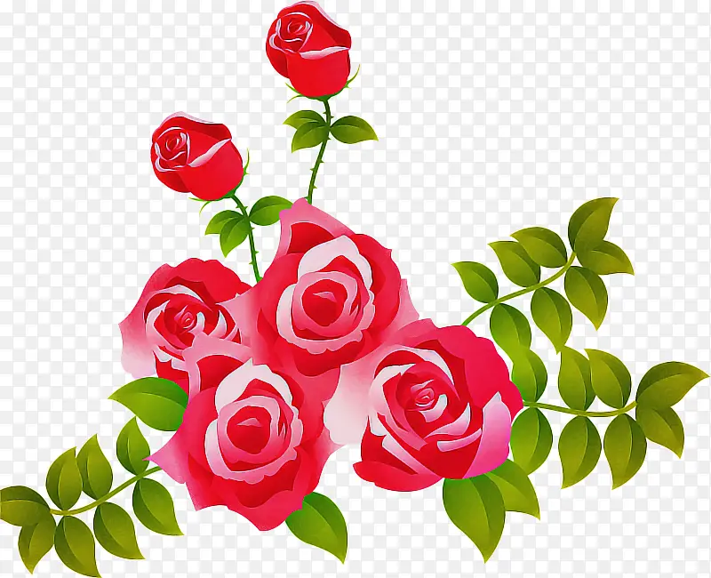 ���� ����ֲ�� ��԰õ��-������