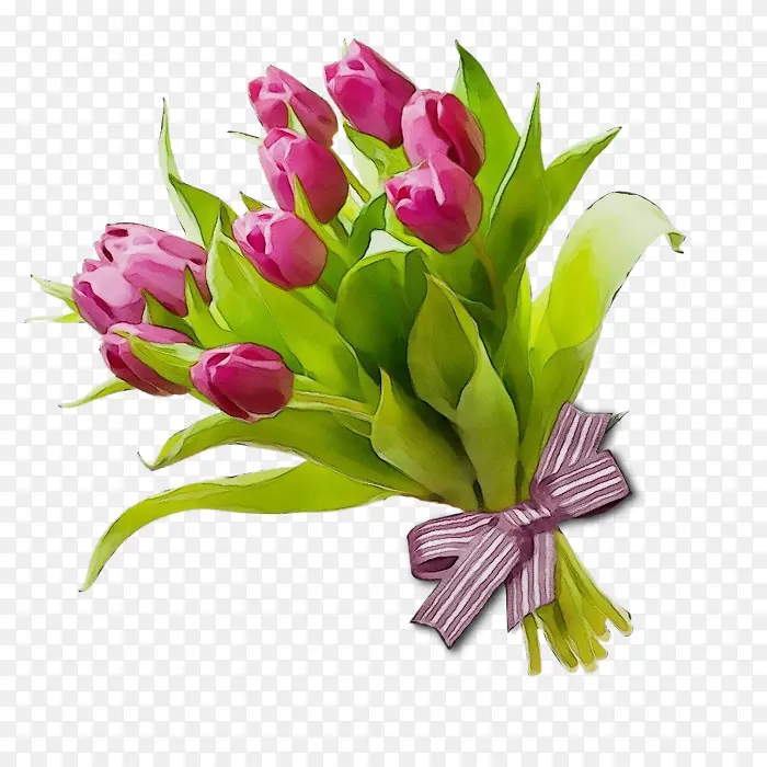 ˮ�ʻ� ���� ʪīˮ-������