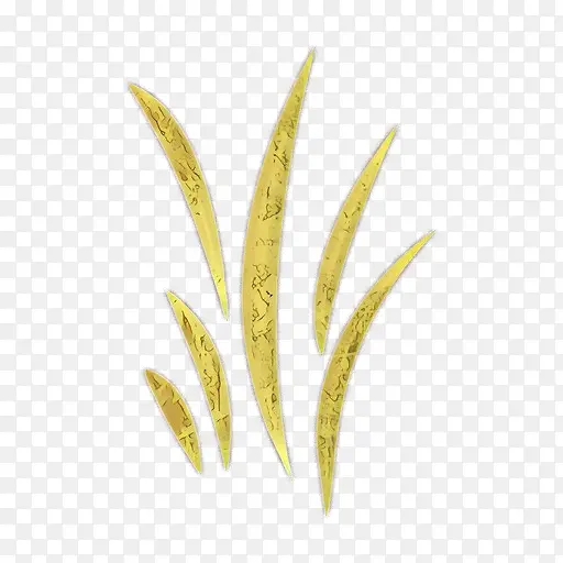 ��ͨ ��ɫ ֲ��-������