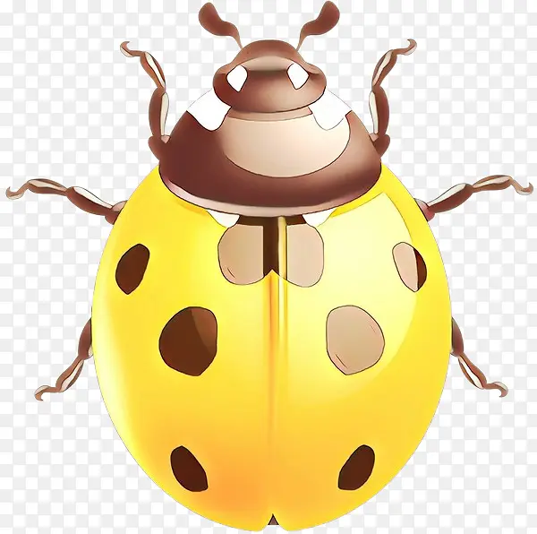 ��ͨ ���� ��ɫ-������