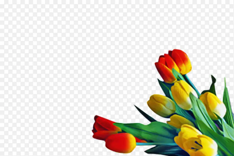 ������ �� ��ɫ-������