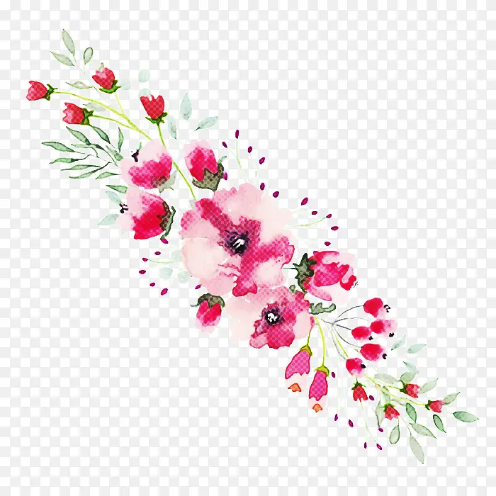 ���� ��ɫ ֲ��-������