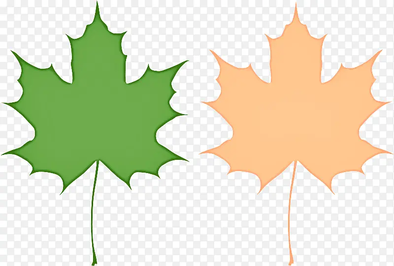 Ҷ�� ��Ҷ ��-������