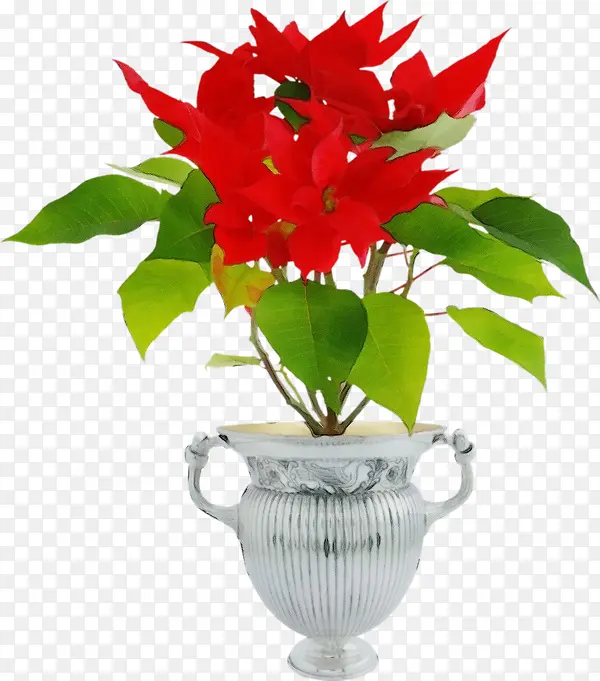 ˮ�� ���� ʪī-������