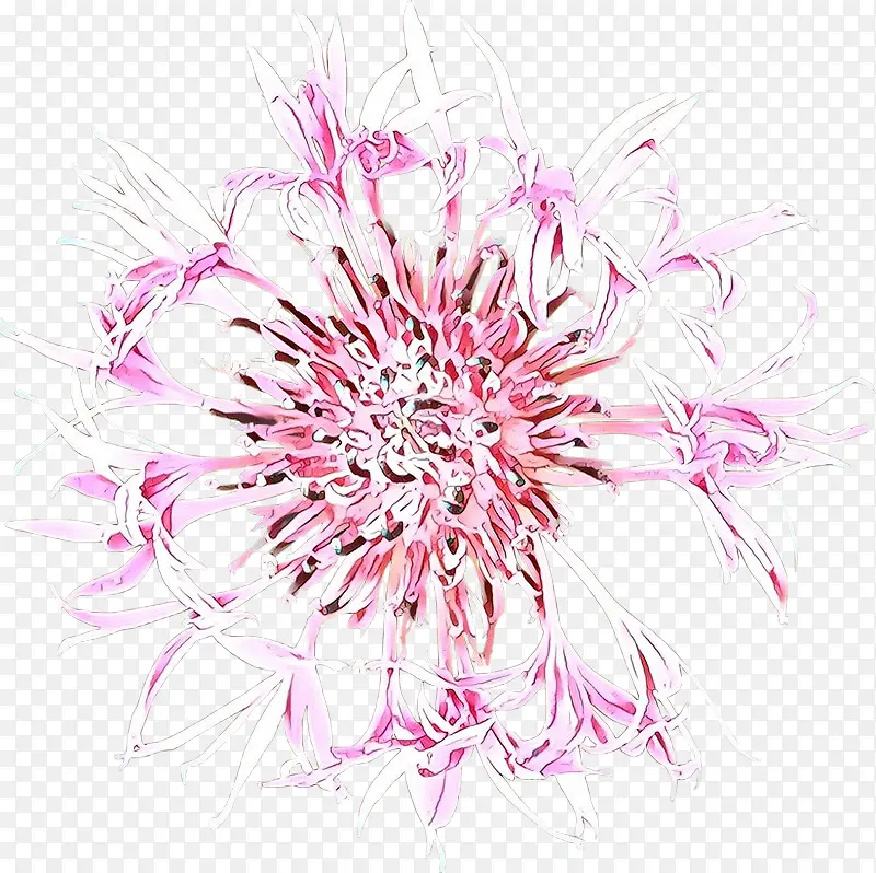 ��ͨ ��ɫ ��-������