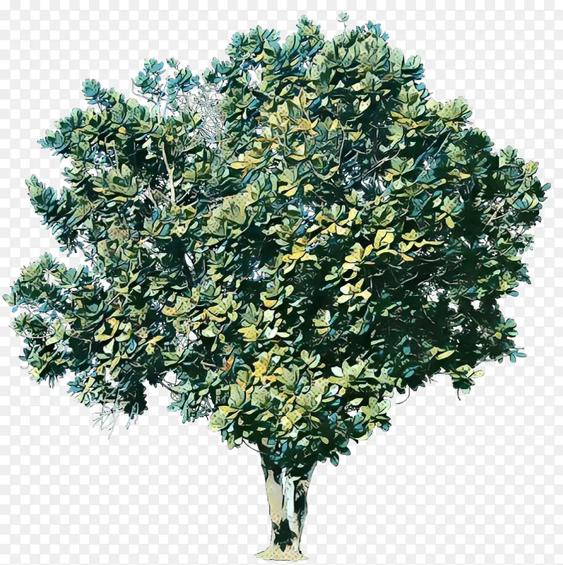 �������� ���� ����ֲ��-������