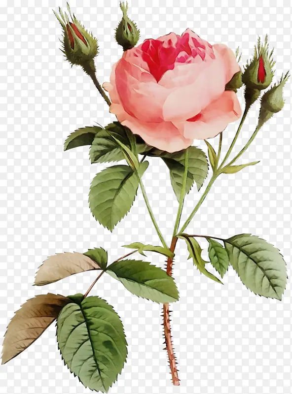 ˮ�� ���� ʪī-������