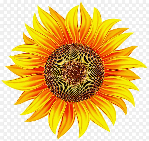 ���տ� �� ��ɫ-������