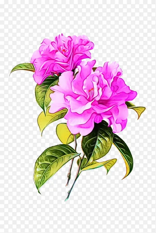 ˮ�� ���� ʪī-������