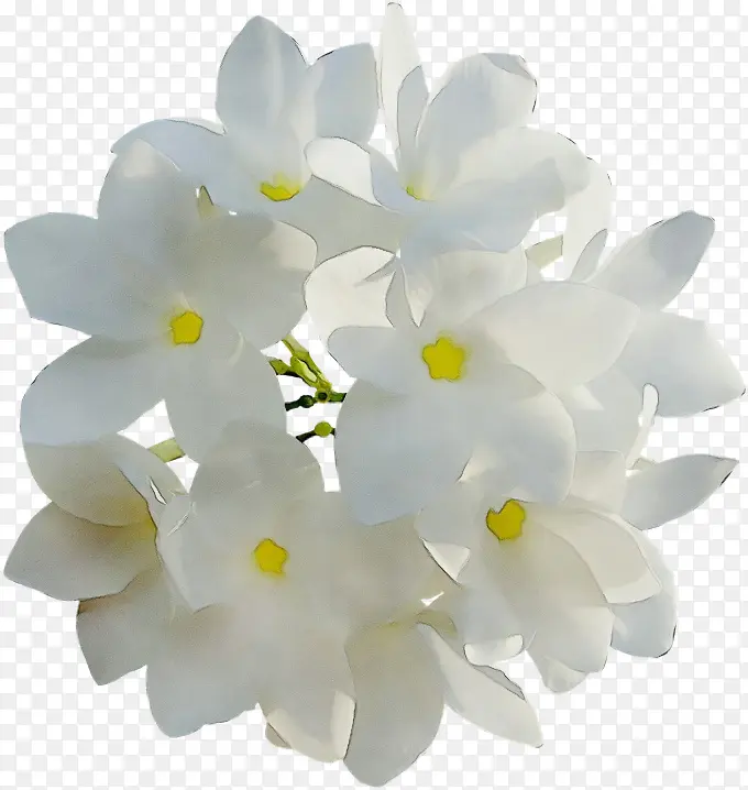 ˮ�� ���� ʪī-������