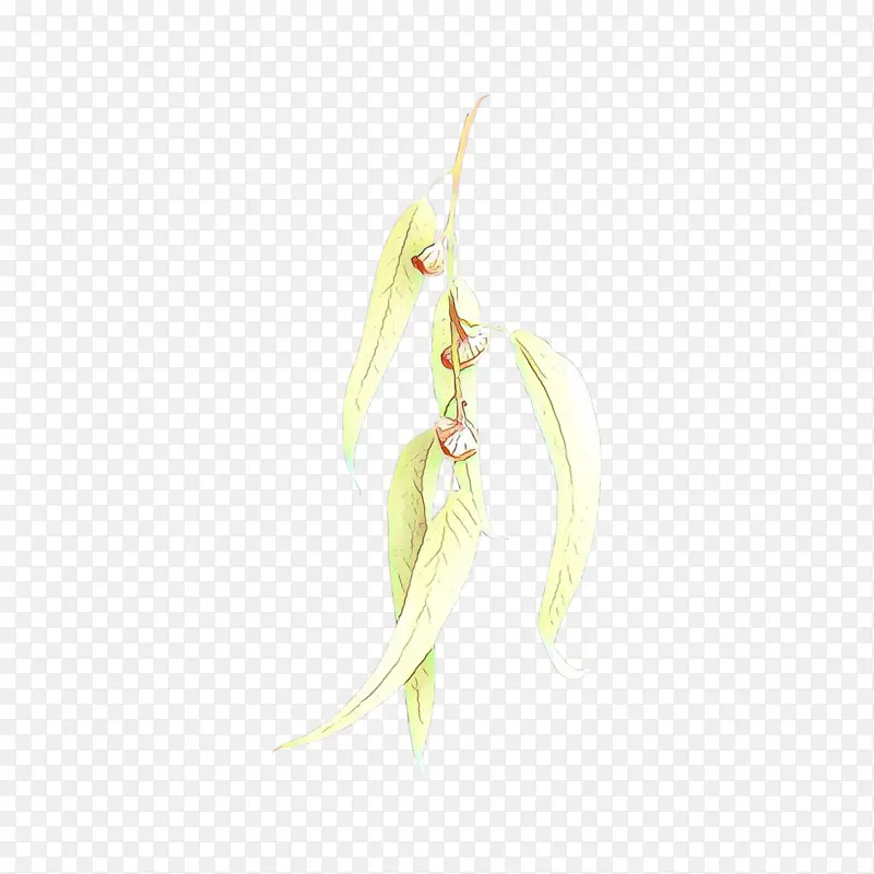 ��ͨ ֲ�� ����-������