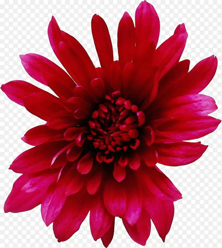 ˮ�ʻ� ���� ʪī-������