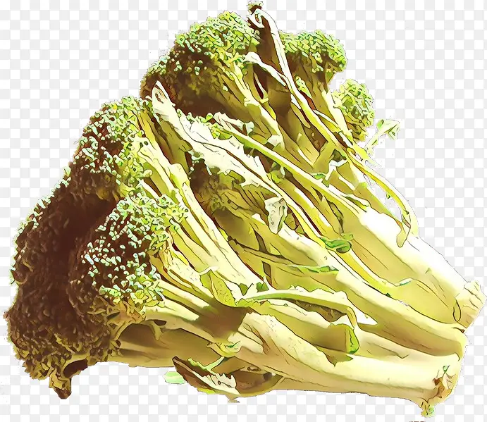 ��ͨ �߲� ʳƷ-������