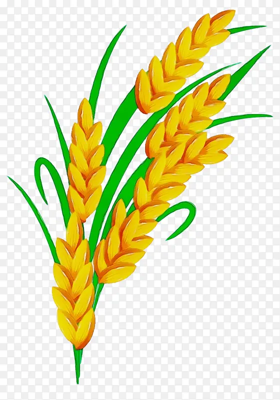 ˮ�ʻ� ���� ʪī-������