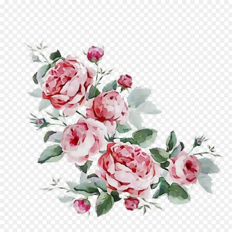 ˮ�� ���� ʪī-������