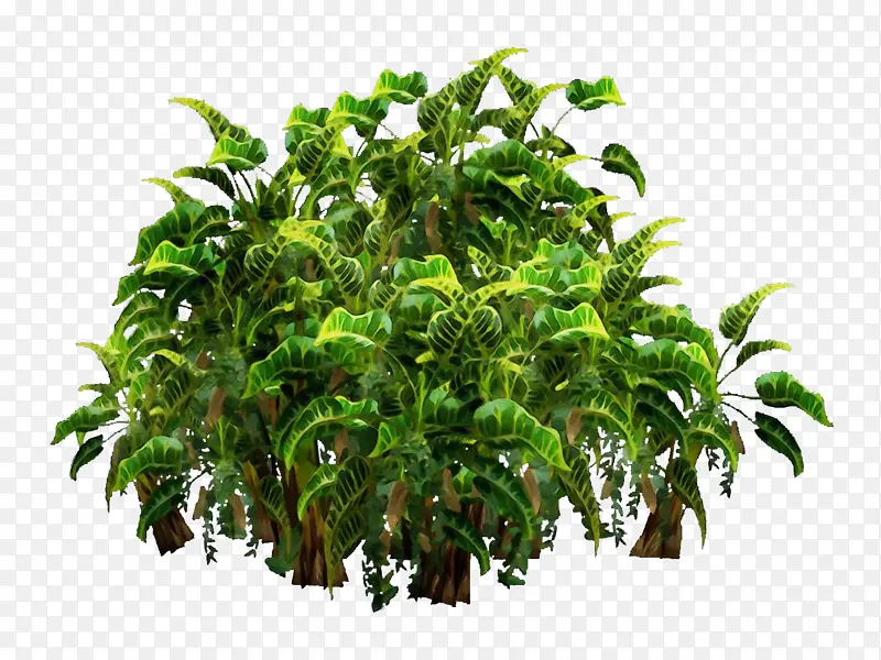 ˮ�� ���� ʪī-������