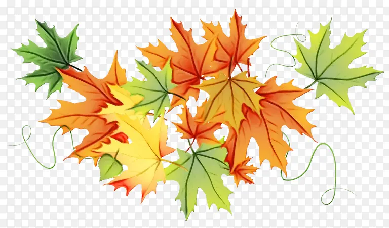 ˮ�ʻ� ���� ʪī-������