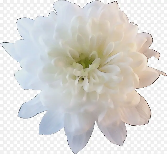 ˮ�� ���� ʪī-������