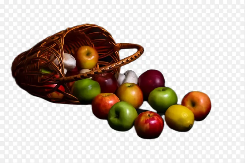 ˮ�� ��ȻʳƷ ֲ��-������