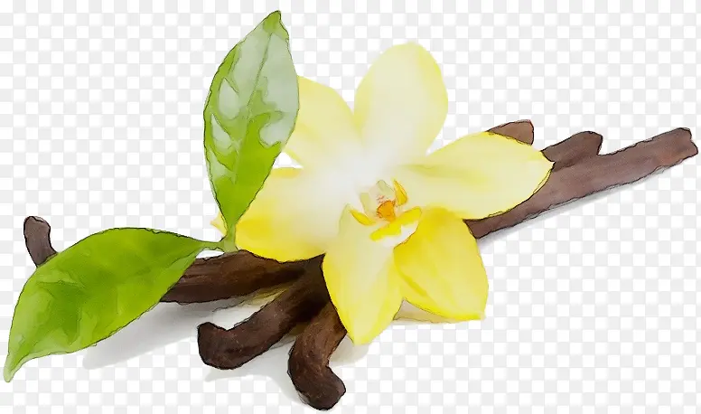 ˮ�ʻ� ���� ʪī-������