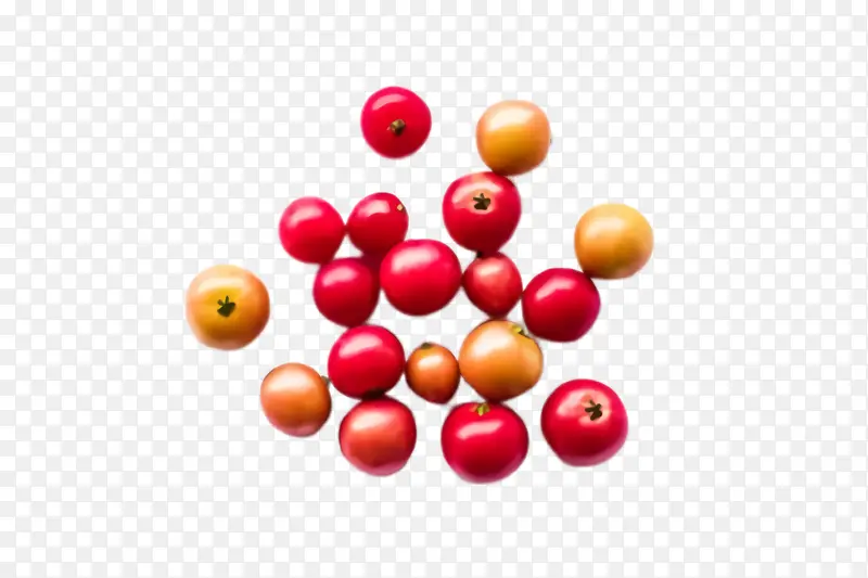 ֲ�� ˮ�� ʳ��-������