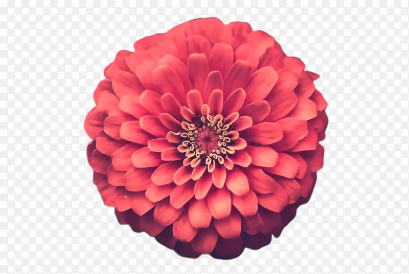 �ɹ���Ʒ�� ���ղ� ����-������