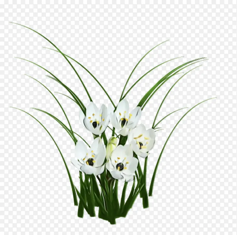 ˮ�ʻ� ���� ʪī-������