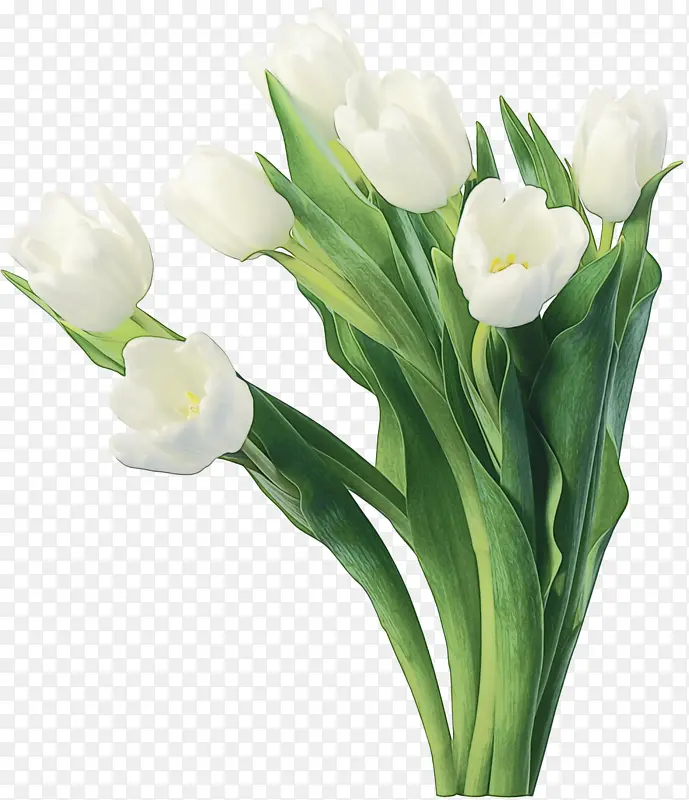 ˮ�� ���� ʪī-������