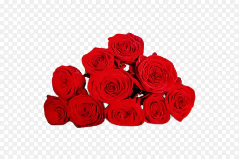 ˮ�� ���� ʪī-������