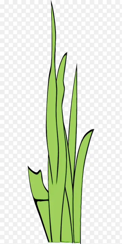 ˮ�ʻ� ���� ʪī-������