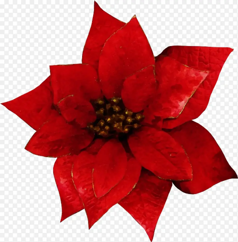 ˮ�ʻ� ���� ʪī-������