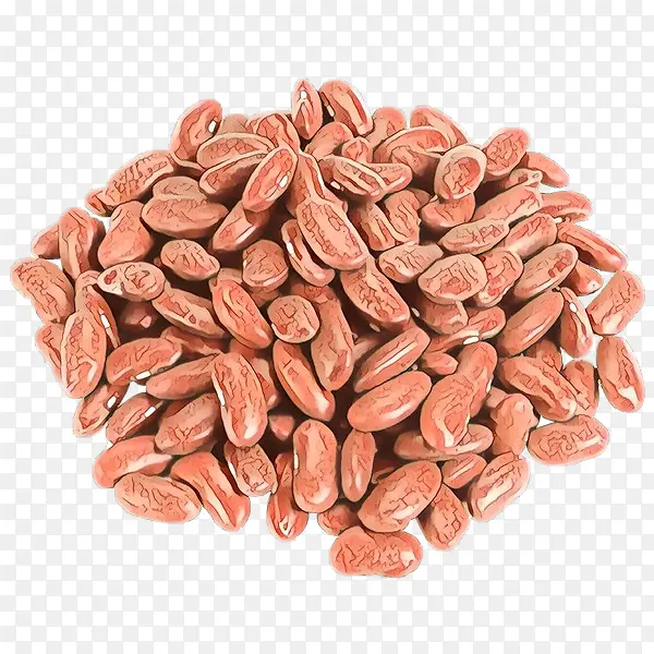 ��ͨ ʳƷ ֲ��-������