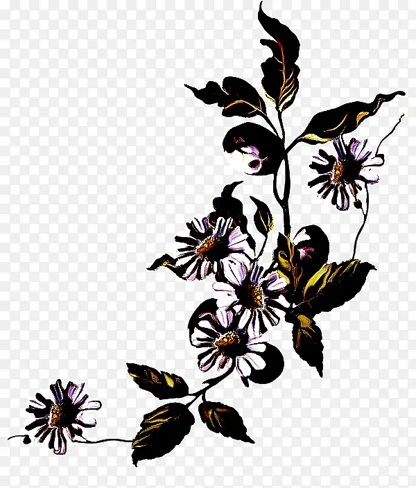 �� ֲ�� ����ֲ��-������