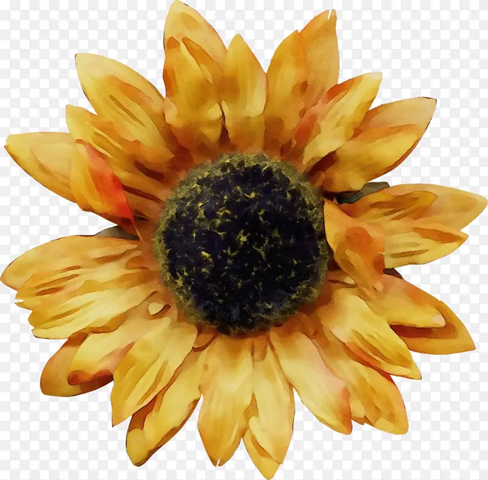 ˮ�ʻ� ���� ʪī-������