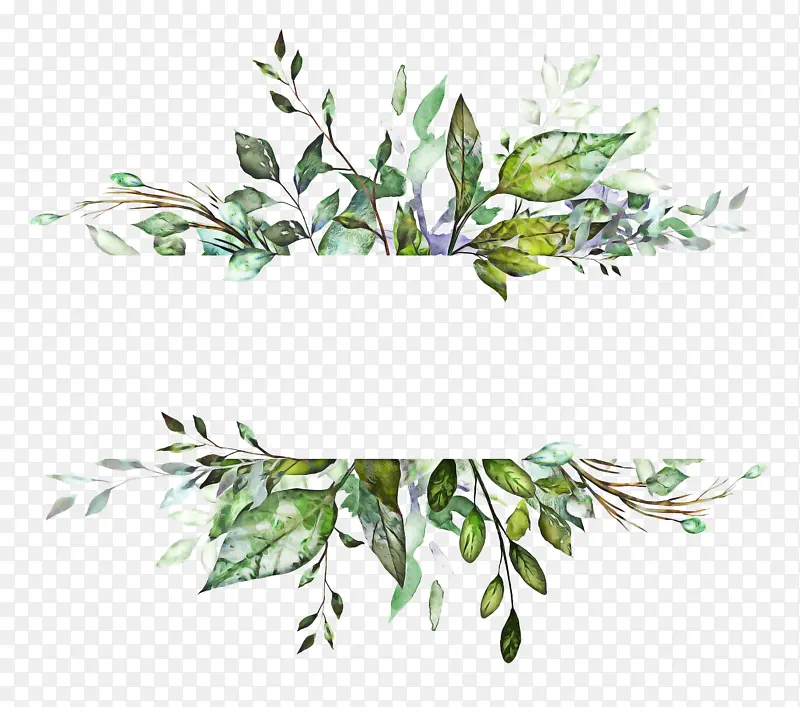 �� ֲ�� ֦-������