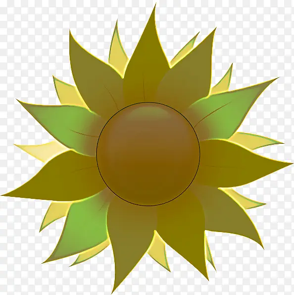 ��ɫ ��ɫ Ҷ��-������