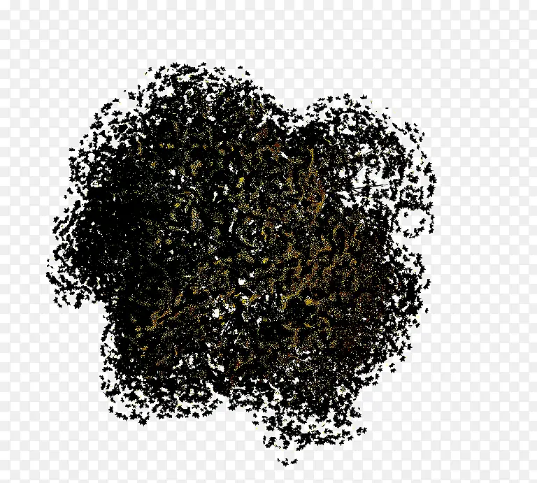 ֲ�� ʱ������ ��˿�ٷ�-������