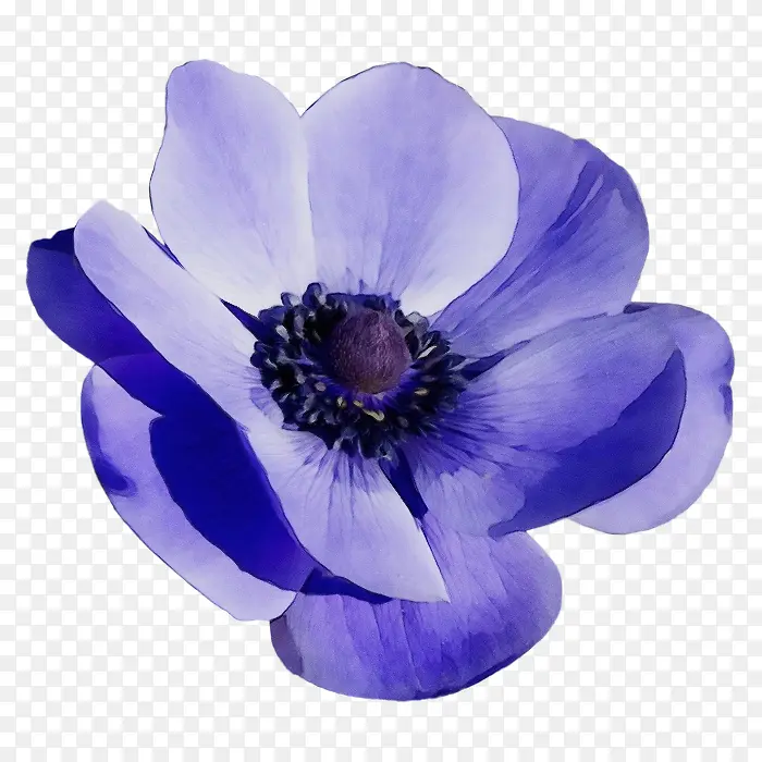 ˮ�� ���� ʪī-������