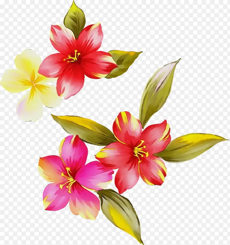 ˮ�� ���� ʪī-������