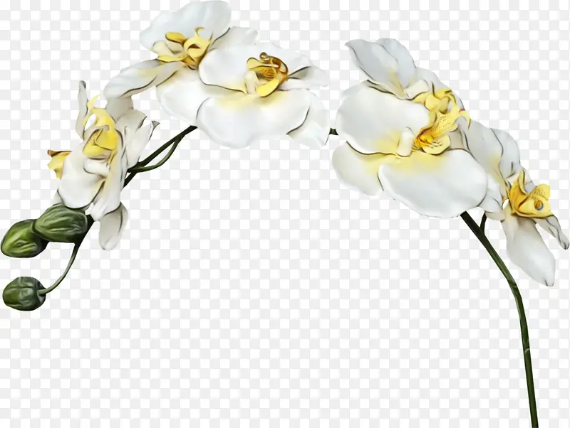 ˮ�� ���� ʪī-������