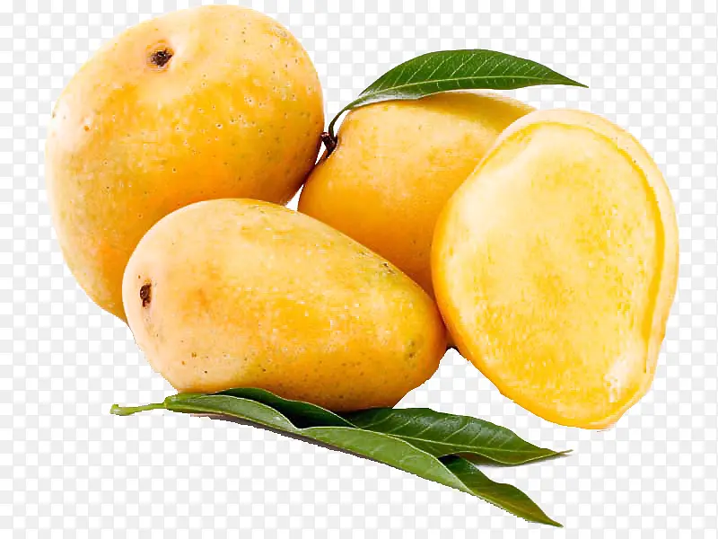 ʳƷ ˮ�� ֲ��-������