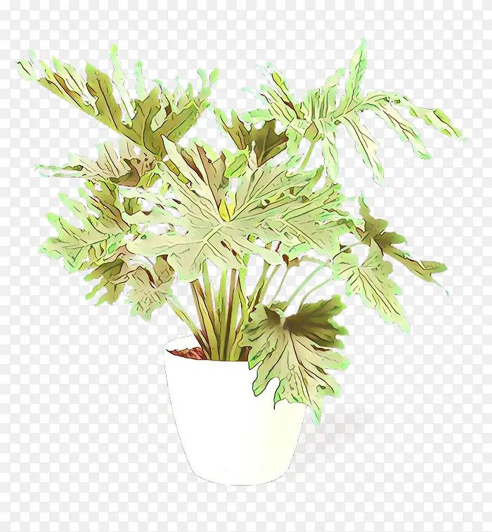 ��ͨ �� ֲ��-������