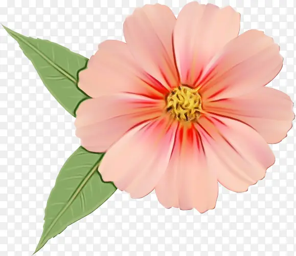 ˮ�� ���� ʪī-������