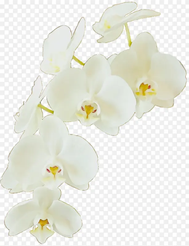 ˮ�� ���� ʪī-������