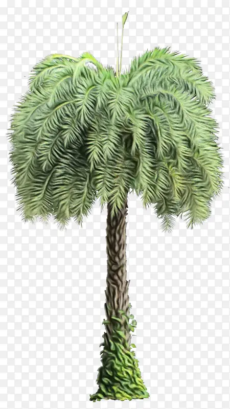 ˮ�� ���� ʪī-������